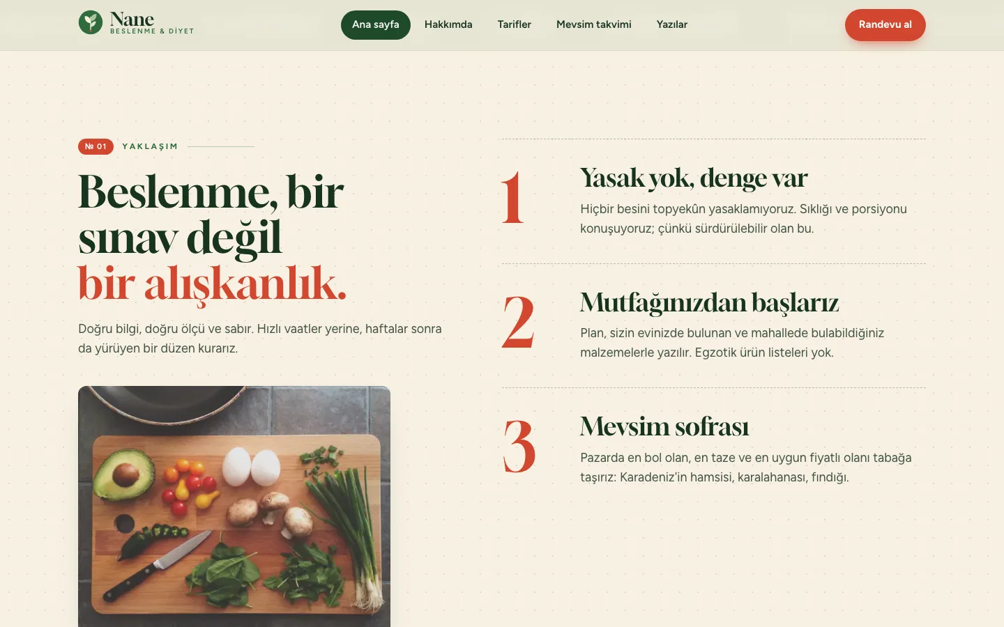 Nane Beslenme — Diyetisyen Sitesi ekran görüntüsü 2