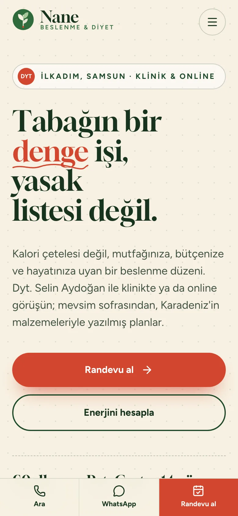 Nane Beslenme — Diyetisyen Sitesi ekran görüntüsü 5