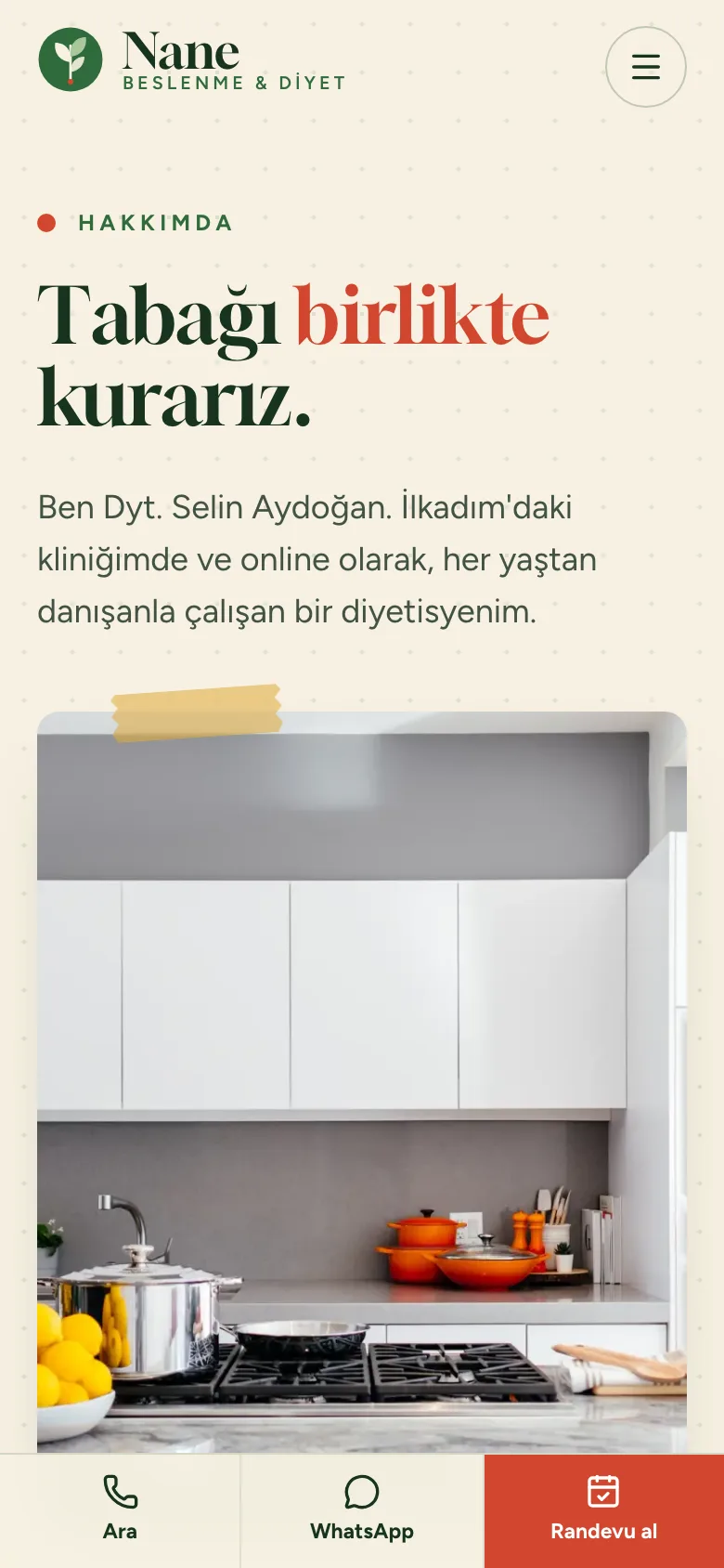 Nane Beslenme — Diyetisyen Sitesi ekran görüntüsü 6